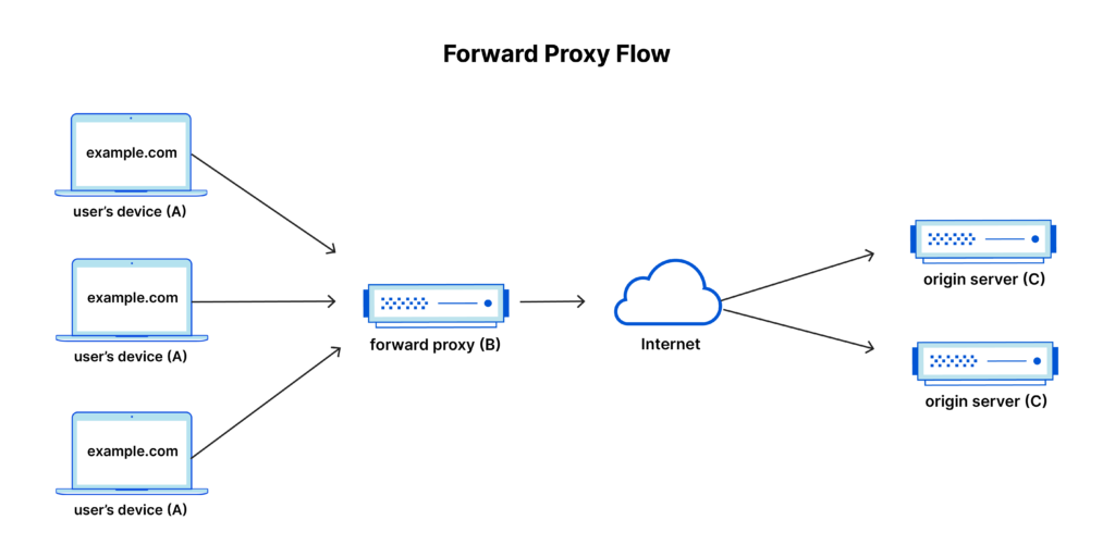 Reverse Proxy Flow